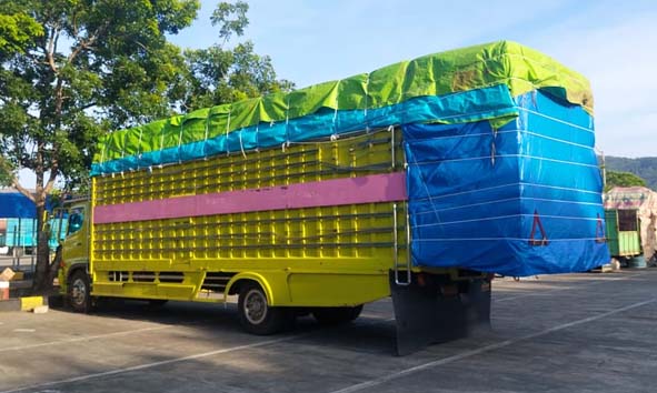 Tangani Truk ODOL, Perlu Dikembangkan Program Subsidi Angkutan Barang Perintis